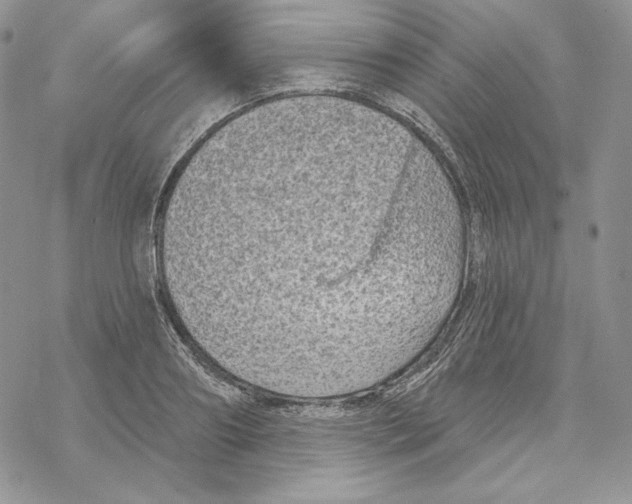 X0000069360890200606091558