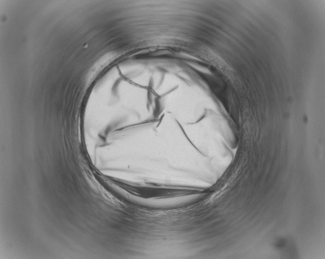 X0000069360892200606091558