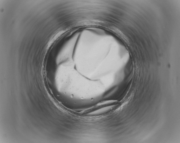 X0000069360893200606091558