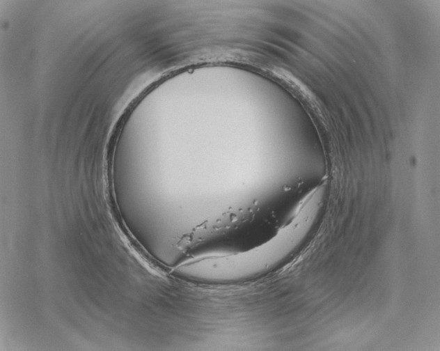 X0000069360894200606091558