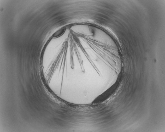 X0000069360895200606091558