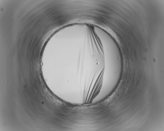 X0000069360896200606091558