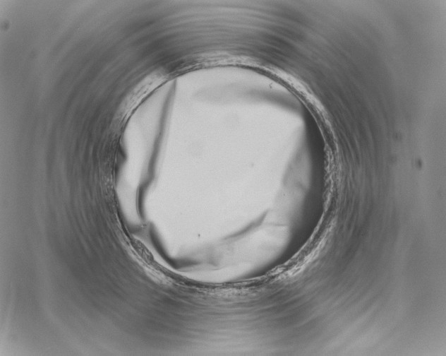 X0000069360897200606091558