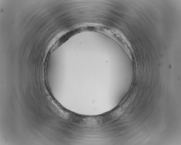 X0000069360898200606091558