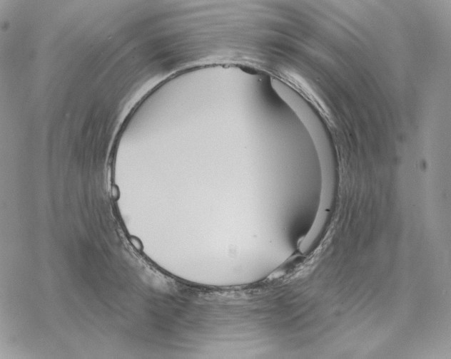 X0000069360900200606091558