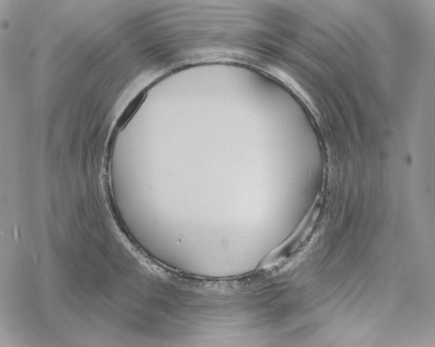 X0000069360901200606091558