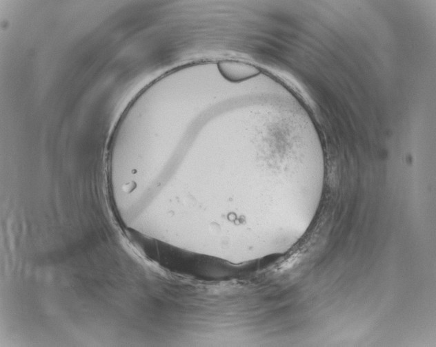 X0000069360903200606091558