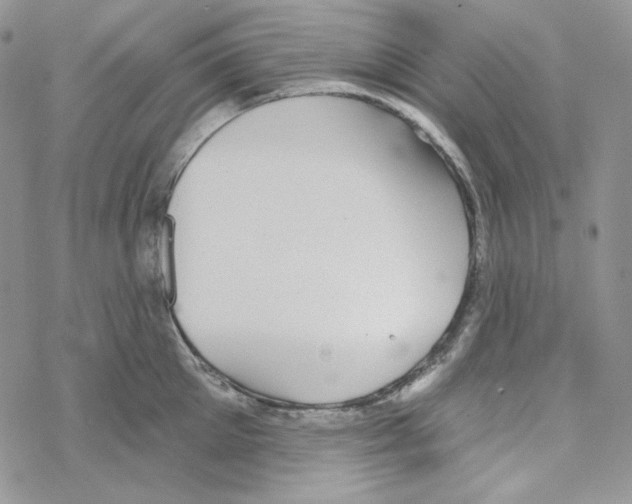 X0000069360905200606091558