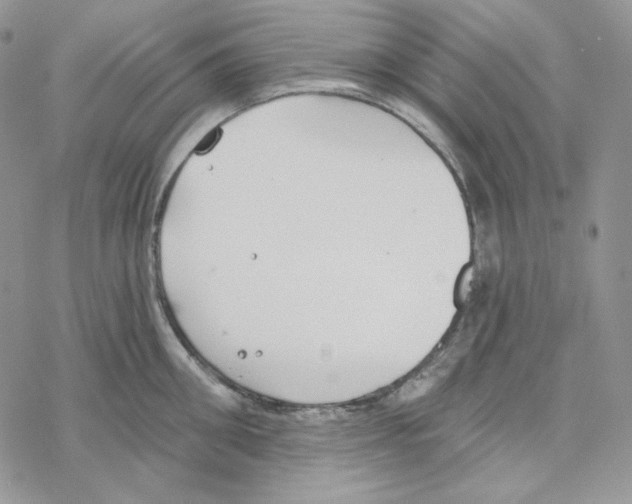 X0000069360906200606091558