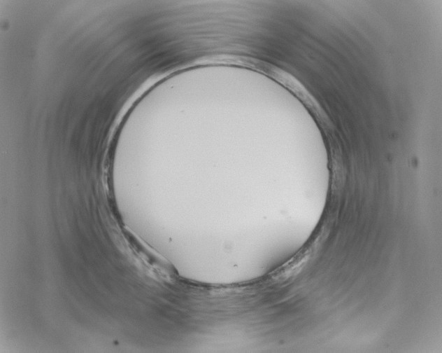 X0000069360908200606091558