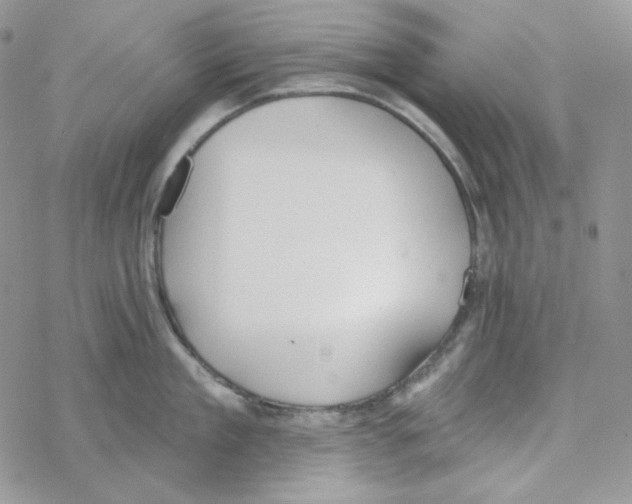 X0000069360909200606091558