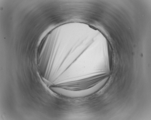 X0000069360910200606091558