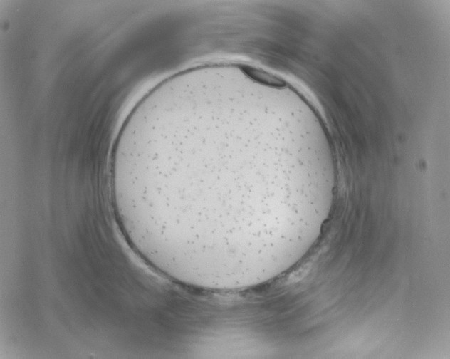 X0000069360911200606091558