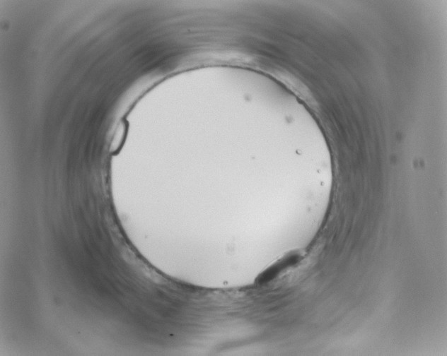 X0000069360912200606091558