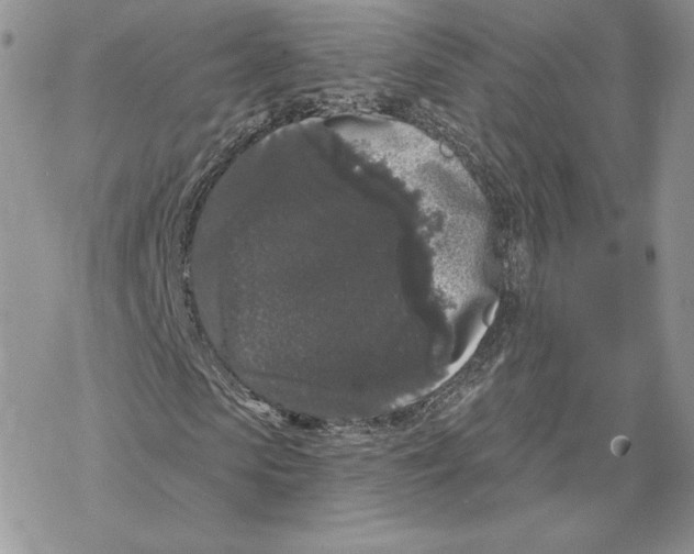 X0000069360913200606091557