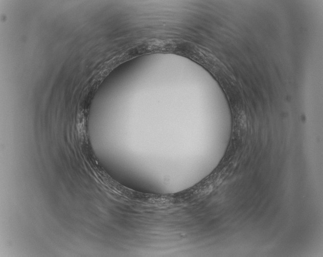 X0000069360914200606091557