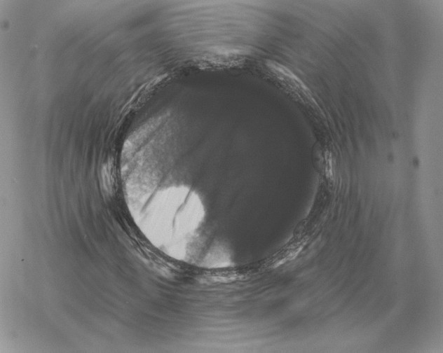 X0000069360915200606091557