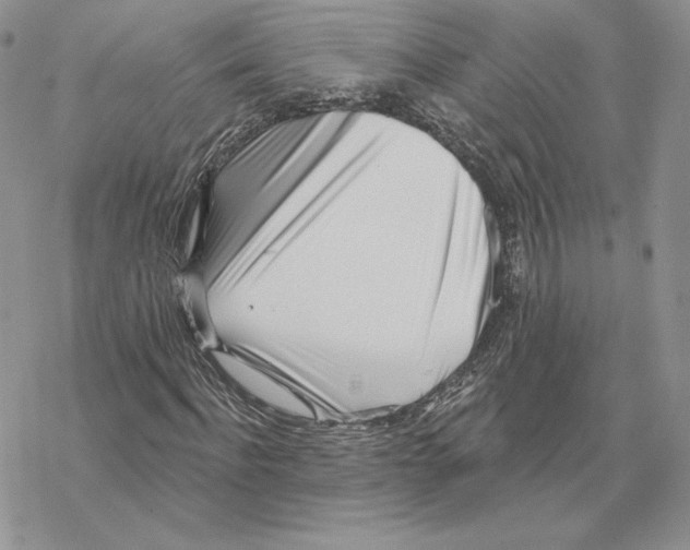 X0000069360916200606091557