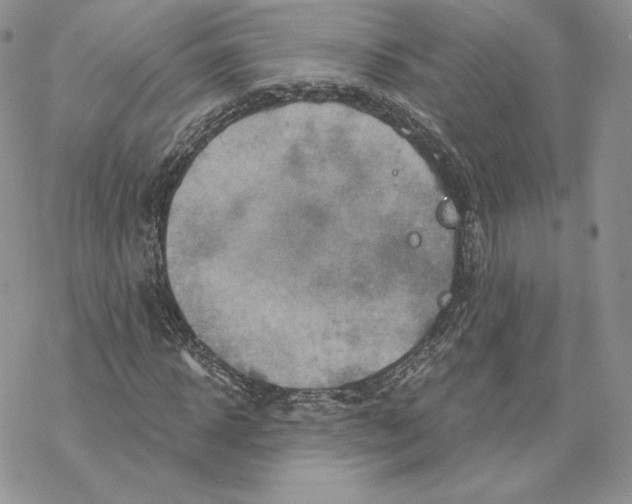 X0000069360918200606091557