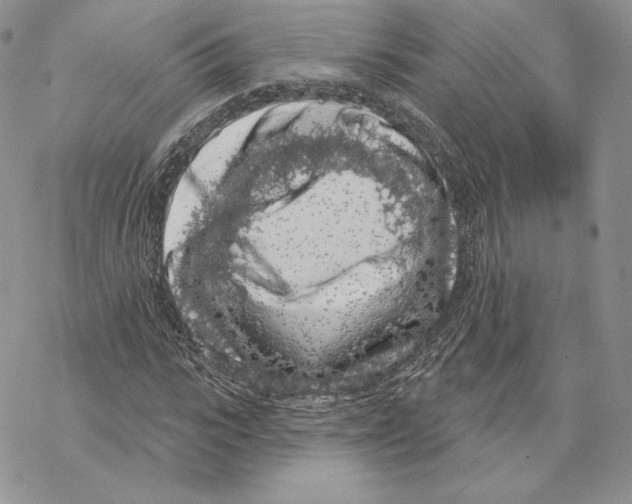 X0000069360919200606091557