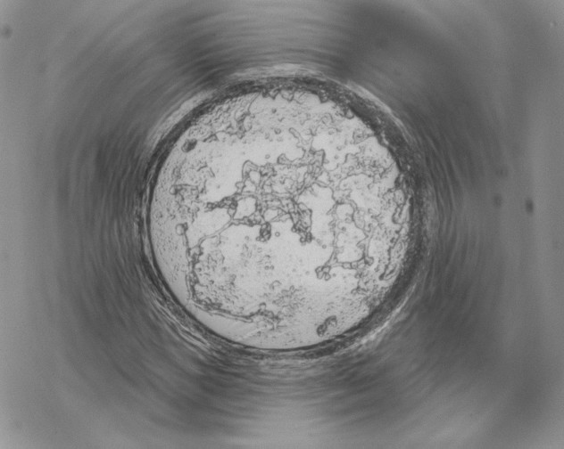 X0000069360921200606091557