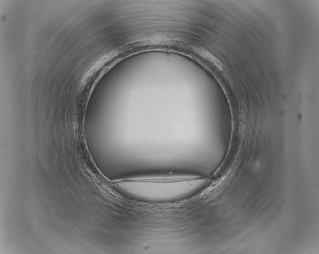 X0000069360922200606091557