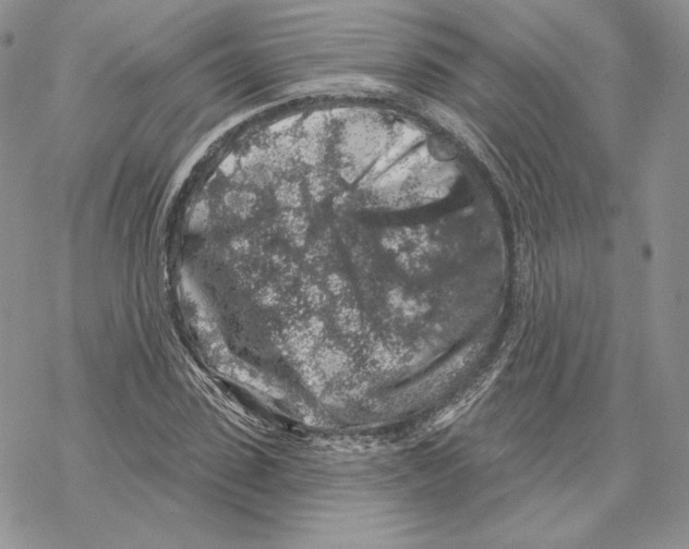 X0000069360923200606091557