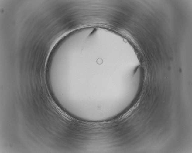 X0000069360924200606091557