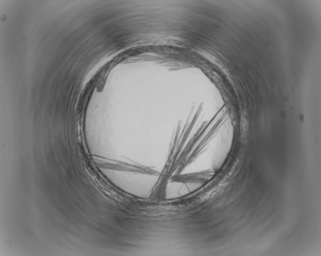 X0000069360925200606091557