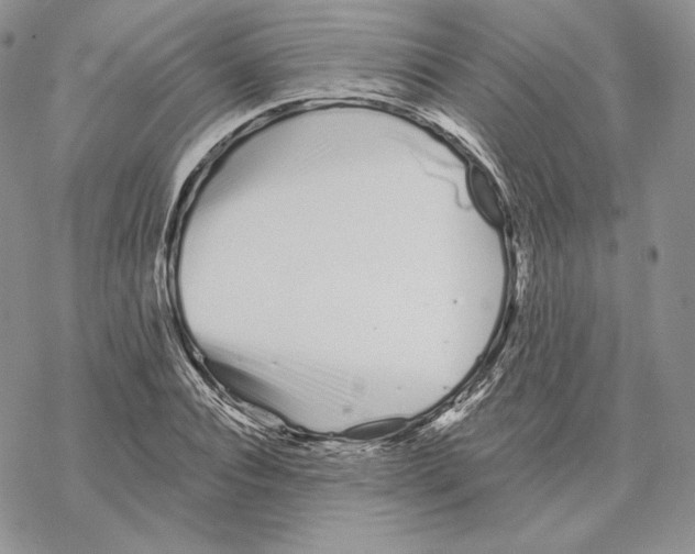 X0000069360928200606091557