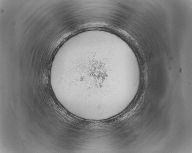 X0000069360929200606091557