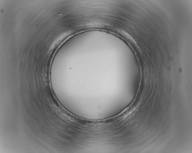 X0000069360930200606091557