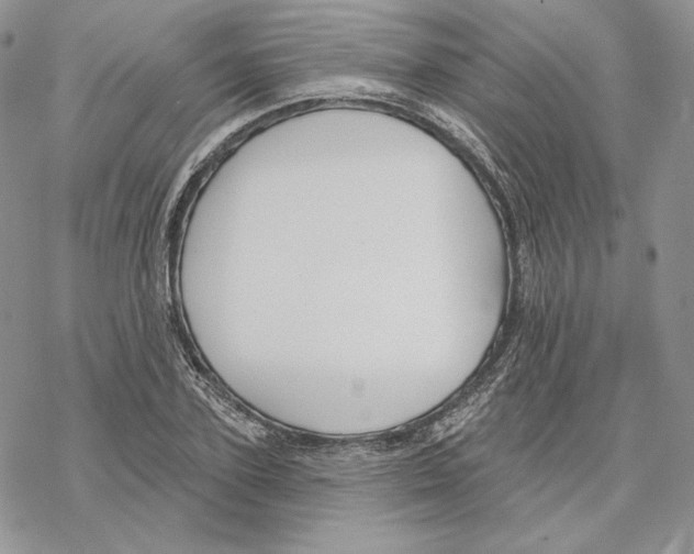 X0000069360931200606091557