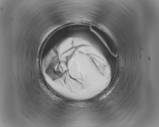 X0000069360932200606091557