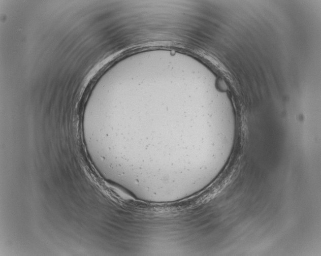 X0000069360933200606091557