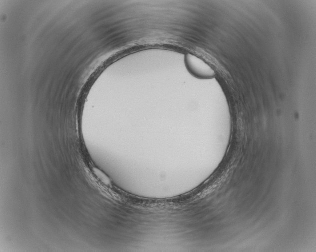 X0000069360934200606091557