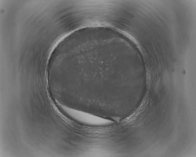 X0000069360935200606091557