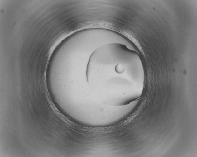 X0000069360936200606091557