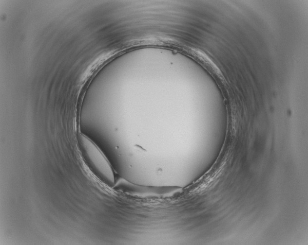 X0000069360938200606091557