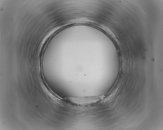 X0000069360939200606091557