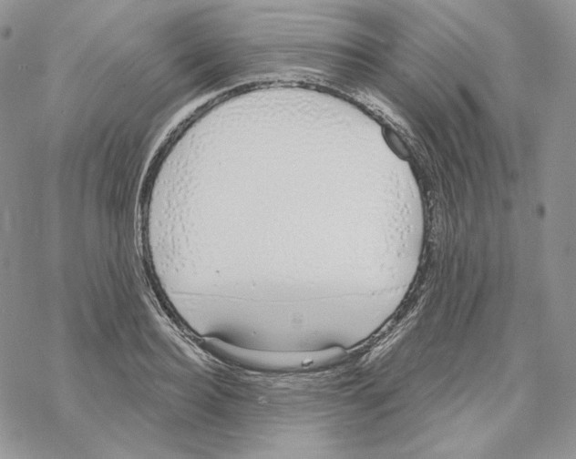 X0000069360940200606091557