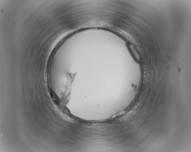 X0000069360942200606091557