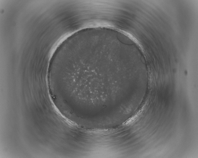 X0000069360943200606091557