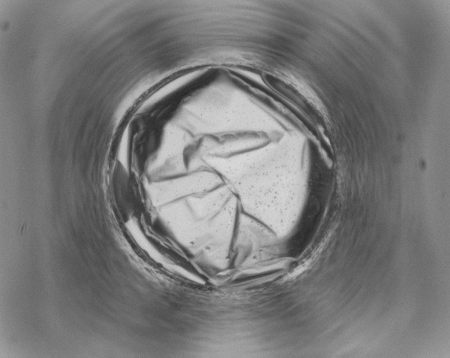 X0000069360944200606091557