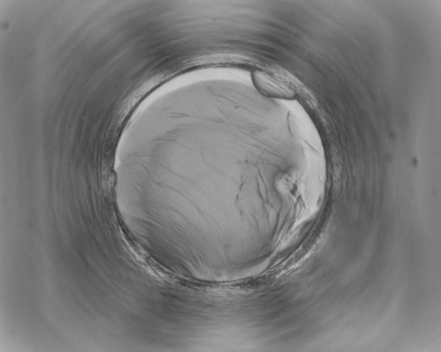 X0000069360945200606091557