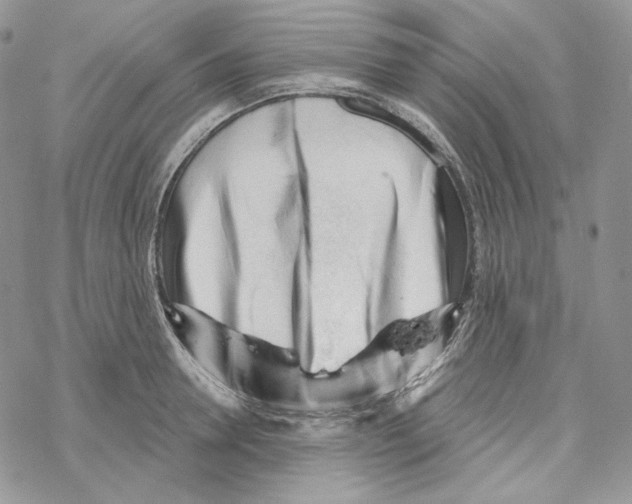 X0000069360946200606091557