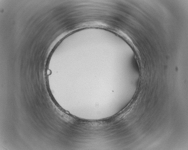 X0000069360947200606091557