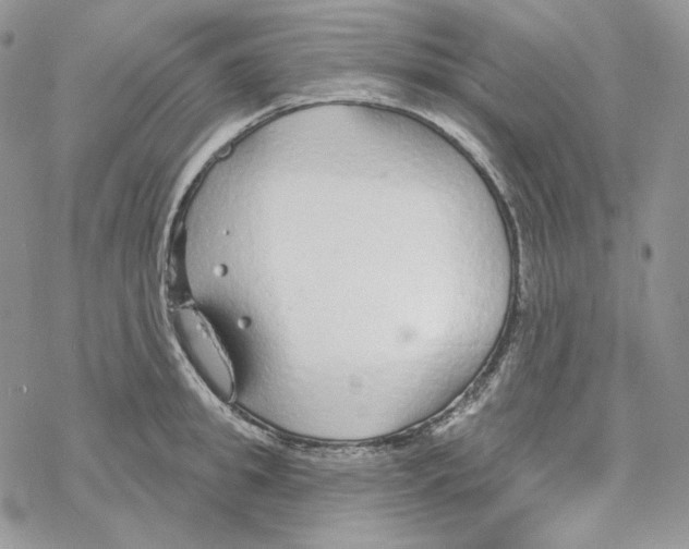 X0000069360949200606091557