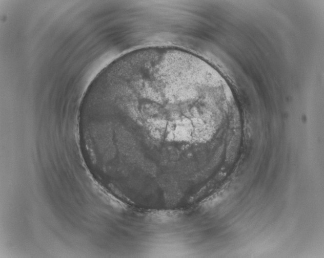 X0000069360950200606091557