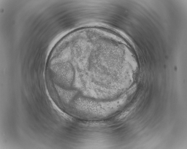 X0000069360951200606091558